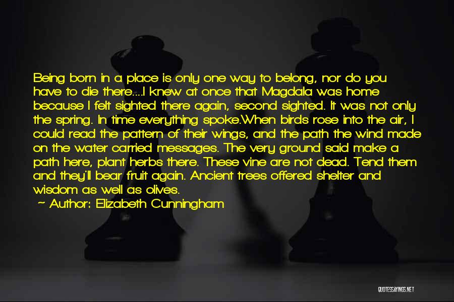 Elizabeth Cunningham Quotes: Being Born In A Place Is Only One Way To Belong, Nor Do You Have To Die There....i Knew At