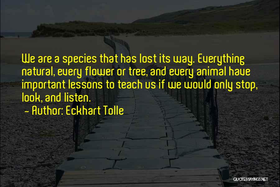 Eckhart Tolle Quotes: We Are A Species That Has Lost Its Way. Everything Natural, Every Flower Or Tree, And Every Animal Have Important