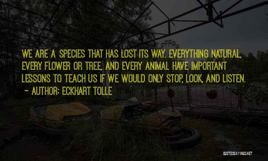 Eckhart Tolle Quotes: We Are A Species That Has Lost Its Way. Everything Natural, Every Flower Or Tree, And Every Animal Have Important