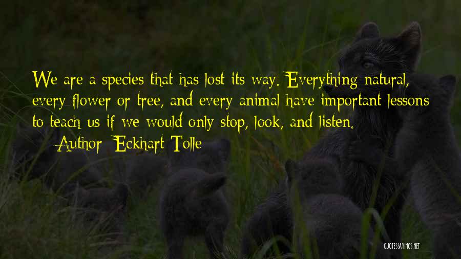 Eckhart Tolle Quotes: We Are A Species That Has Lost Its Way. Everything Natural, Every Flower Or Tree, And Every Animal Have Important