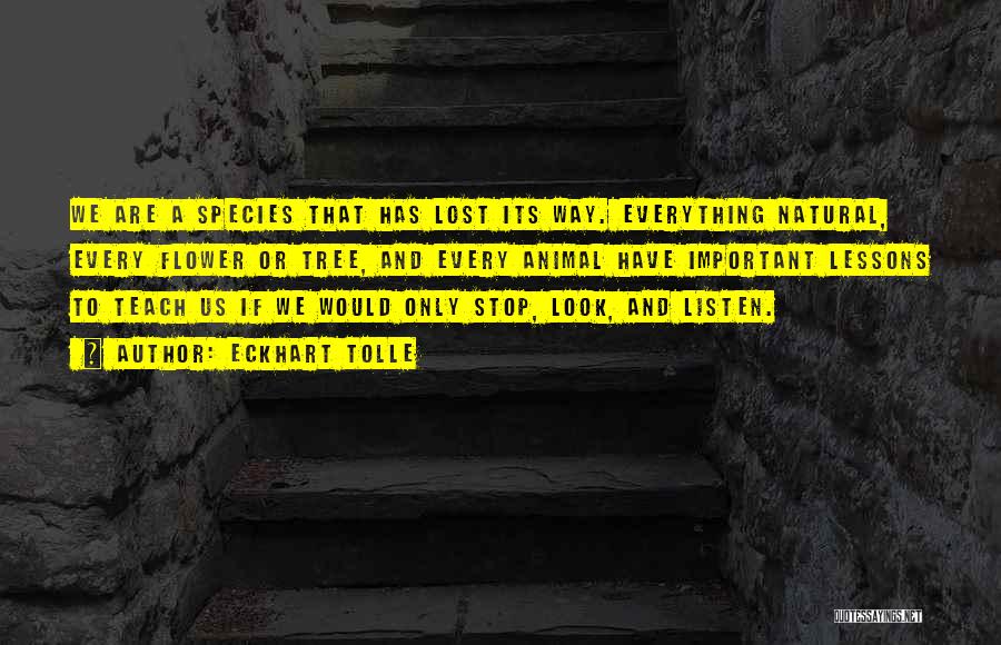 Eckhart Tolle Quotes: We Are A Species That Has Lost Its Way. Everything Natural, Every Flower Or Tree, And Every Animal Have Important