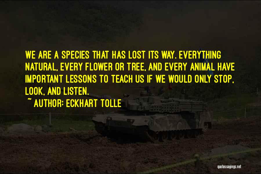 Eckhart Tolle Quotes: We Are A Species That Has Lost Its Way. Everything Natural, Every Flower Or Tree, And Every Animal Have Important