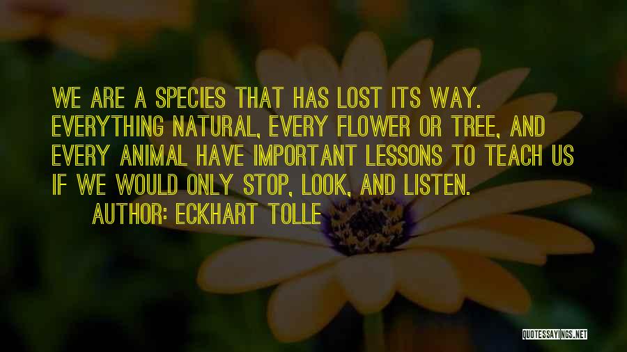 Eckhart Tolle Quotes: We Are A Species That Has Lost Its Way. Everything Natural, Every Flower Or Tree, And Every Animal Have Important
