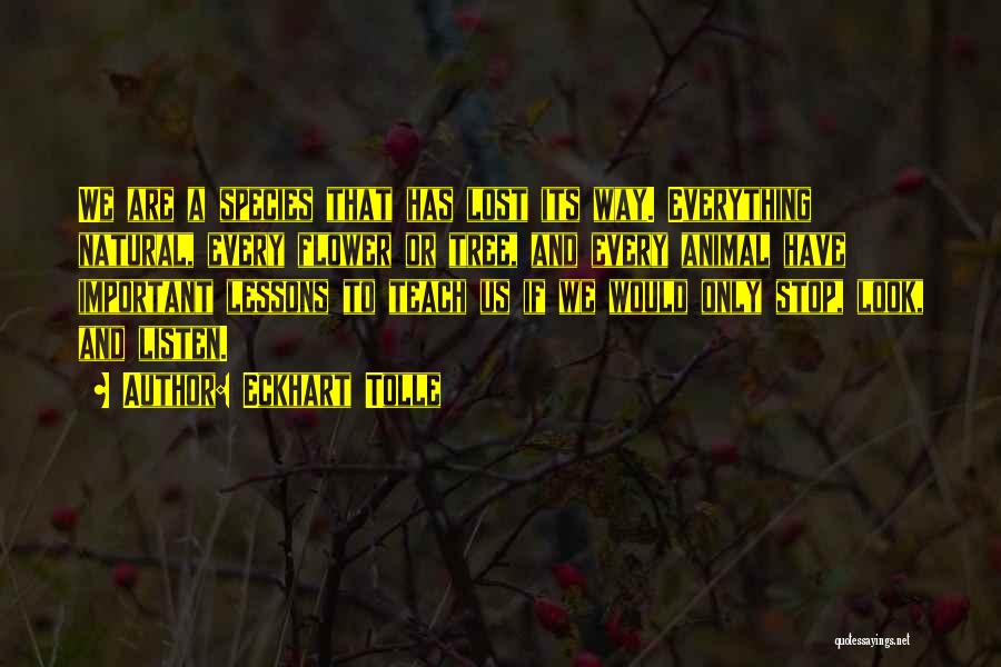 Eckhart Tolle Quotes: We Are A Species That Has Lost Its Way. Everything Natural, Every Flower Or Tree, And Every Animal Have Important
