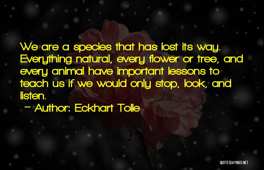 Eckhart Tolle Quotes: We Are A Species That Has Lost Its Way. Everything Natural, Every Flower Or Tree, And Every Animal Have Important