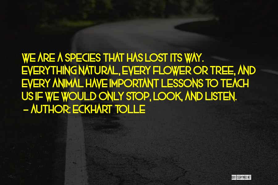 Eckhart Tolle Quotes: We Are A Species That Has Lost Its Way. Everything Natural, Every Flower Or Tree, And Every Animal Have Important