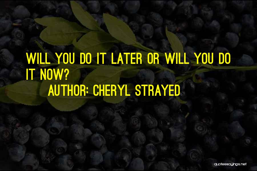 Cheryl Strayed Quotes: Will You Do It Later Or Will You Do It Now?