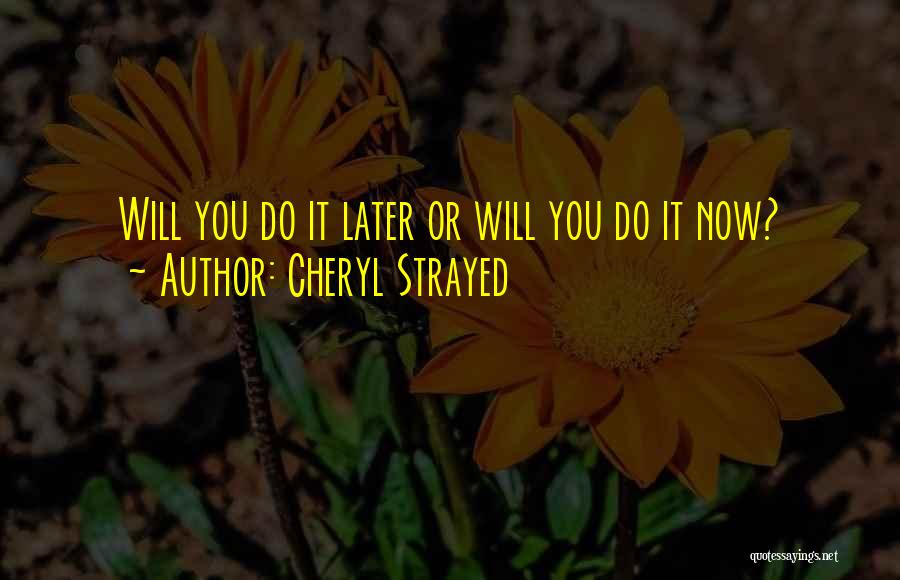 Cheryl Strayed Quotes: Will You Do It Later Or Will You Do It Now?