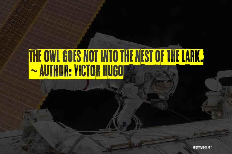 Victor Hugo Quotes: The Owl Goes Not Into The Nest Of The Lark.