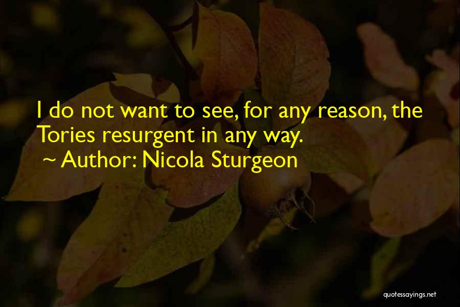 Nicola Sturgeon Quotes: I Do Not Want To See, For Any Reason, The Tories Resurgent In Any Way.