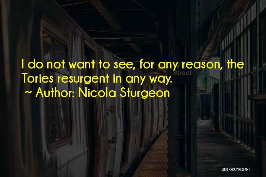 Nicola Sturgeon Quotes: I Do Not Want To See, For Any Reason, The Tories Resurgent In Any Way.