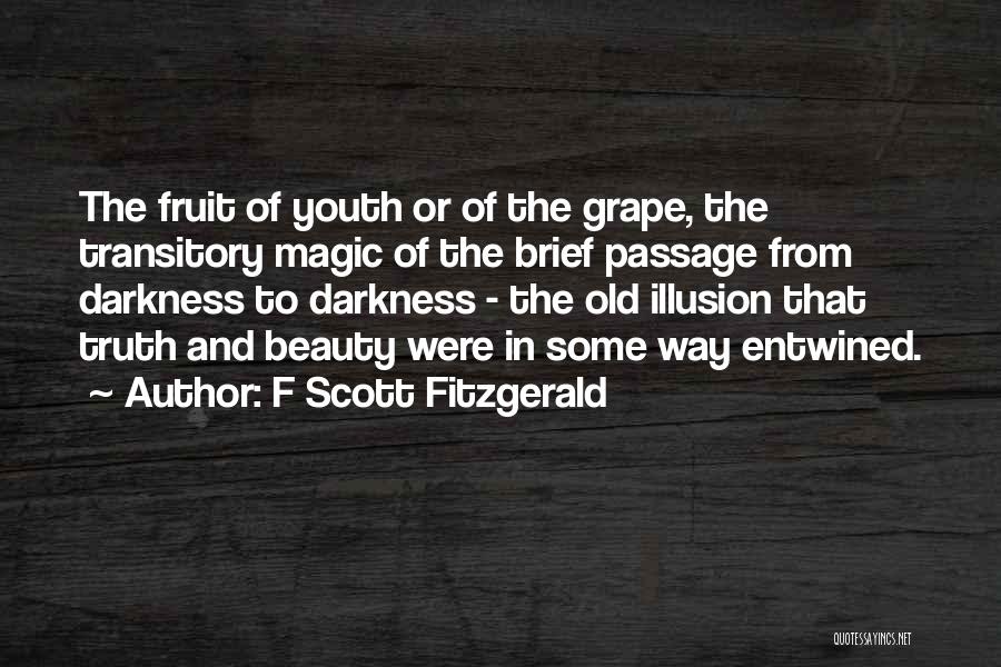 F Scott Fitzgerald Quotes: The Fruit Of Youth Or Of The Grape, The Transitory Magic Of The Brief Passage From Darkness To Darkness -