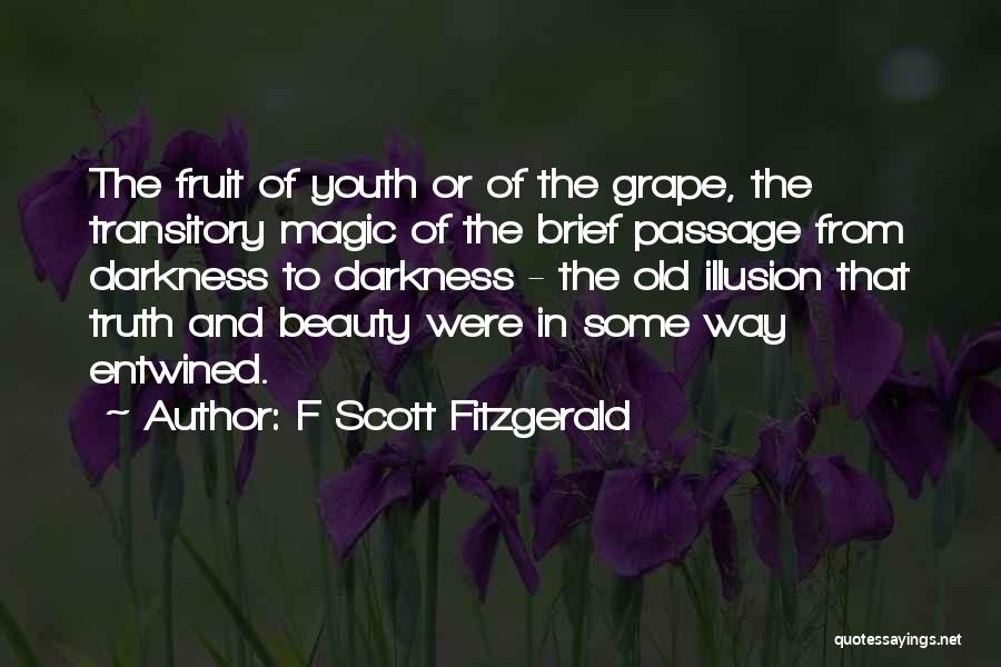 F Scott Fitzgerald Quotes: The Fruit Of Youth Or Of The Grape, The Transitory Magic Of The Brief Passage From Darkness To Darkness -