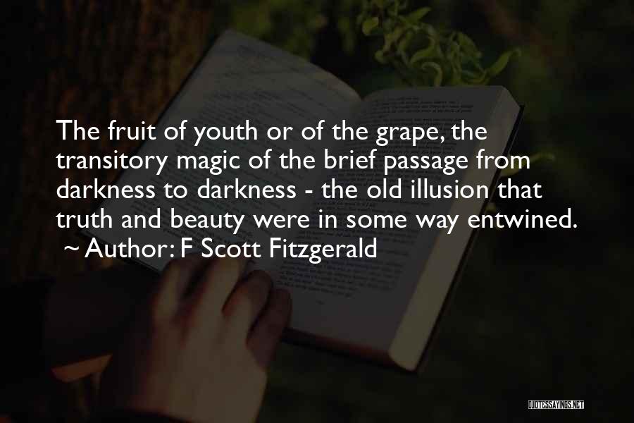 F Scott Fitzgerald Quotes: The Fruit Of Youth Or Of The Grape, The Transitory Magic Of The Brief Passage From Darkness To Darkness -