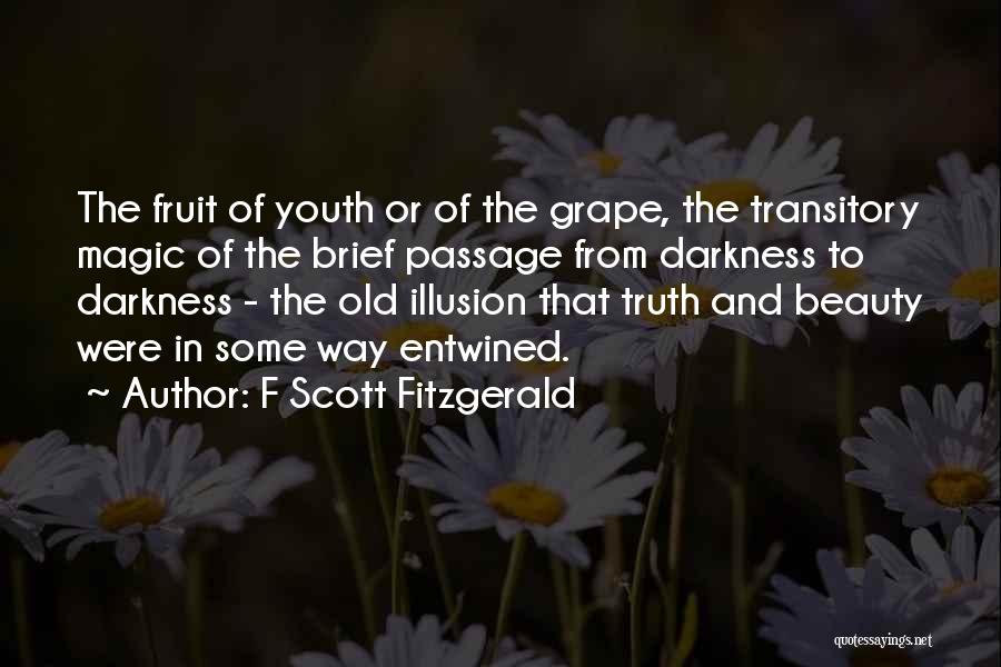 F Scott Fitzgerald Quotes: The Fruit Of Youth Or Of The Grape, The Transitory Magic Of The Brief Passage From Darkness To Darkness -