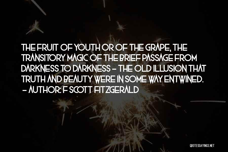 F Scott Fitzgerald Quotes: The Fruit Of Youth Or Of The Grape, The Transitory Magic Of The Brief Passage From Darkness To Darkness -