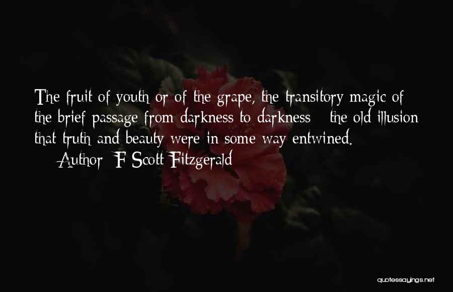 F Scott Fitzgerald Quotes: The Fruit Of Youth Or Of The Grape, The Transitory Magic Of The Brief Passage From Darkness To Darkness -