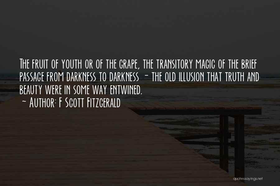 F Scott Fitzgerald Quotes: The Fruit Of Youth Or Of The Grape, The Transitory Magic Of The Brief Passage From Darkness To Darkness -
