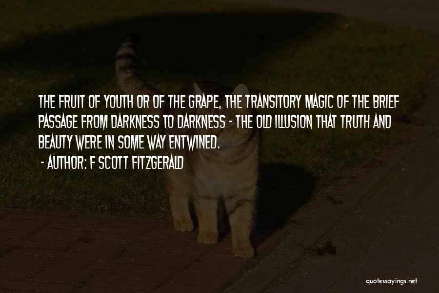 F Scott Fitzgerald Quotes: The Fruit Of Youth Or Of The Grape, The Transitory Magic Of The Brief Passage From Darkness To Darkness -