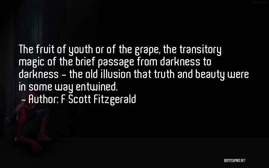 F Scott Fitzgerald Quotes: The Fruit Of Youth Or Of The Grape, The Transitory Magic Of The Brief Passage From Darkness To Darkness -