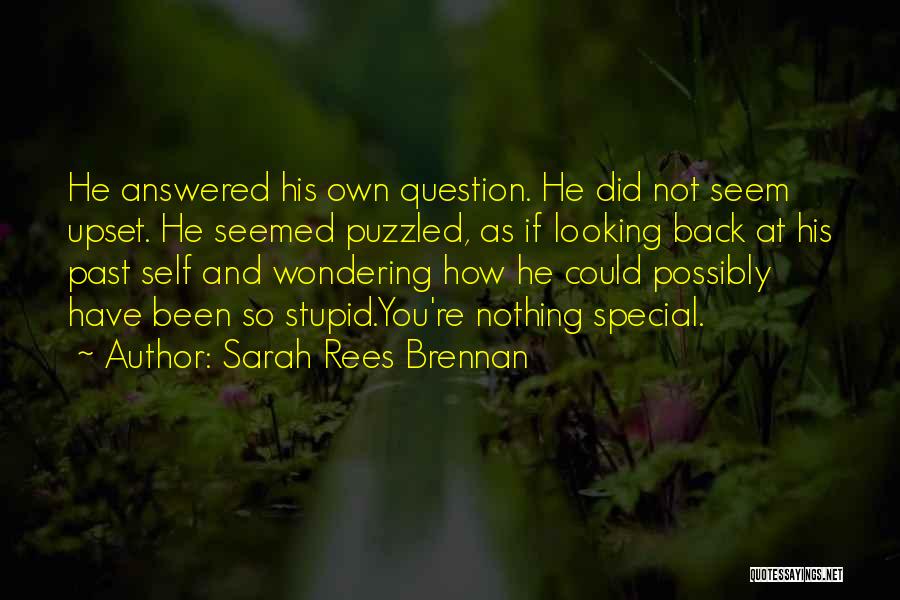 Sarah Rees Brennan Quotes: He Answered His Own Question. He Did Not Seem Upset. He Seemed Puzzled, As If Looking Back At His Past