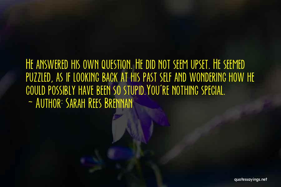 Sarah Rees Brennan Quotes: He Answered His Own Question. He Did Not Seem Upset. He Seemed Puzzled, As If Looking Back At His Past