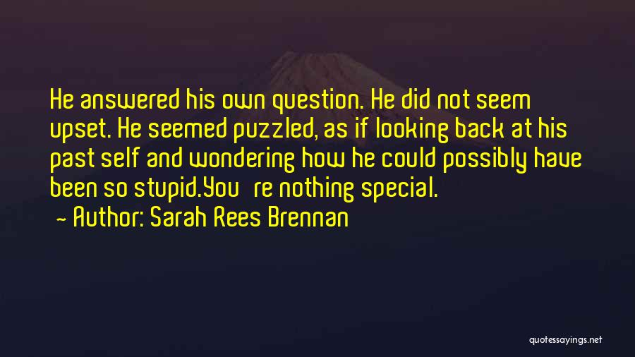 Sarah Rees Brennan Quotes: He Answered His Own Question. He Did Not Seem Upset. He Seemed Puzzled, As If Looking Back At His Past