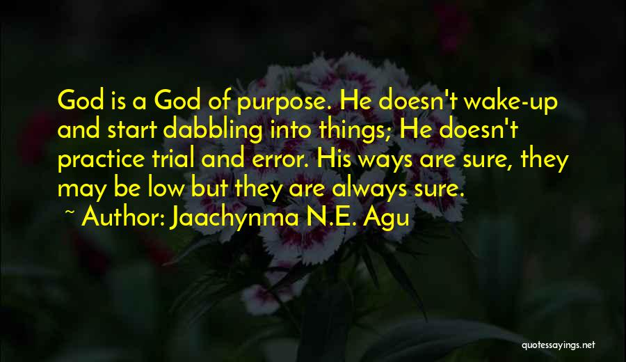 Jaachynma N.E. Agu Quotes: God Is A God Of Purpose. He Doesn't Wake-up And Start Dabbling Into Things; He Doesn't Practice Trial And Error.