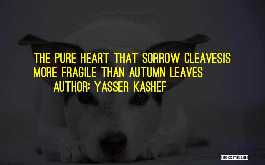 Yasser Kashef Quotes: The Pure Heart That Sorrow Cleavesis More Fragile Than Autumn Leaves