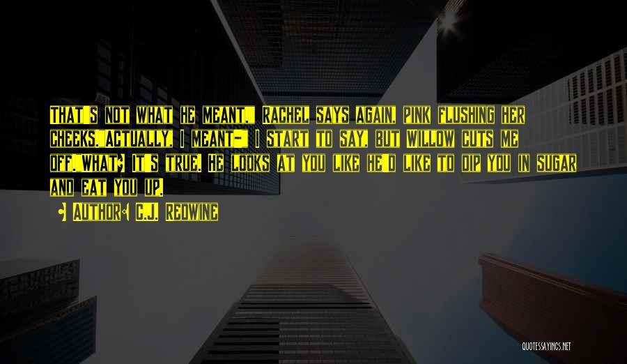 C.J. Redwine Quotes: That's Not What He Meant, Rachel Says Again, Pink Flushing Her Cheeks.actually, I Meant- I Start To Say, But Willow