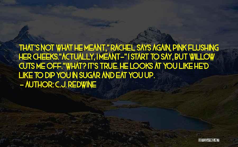 C.J. Redwine Quotes: That's Not What He Meant, Rachel Says Again, Pink Flushing Her Cheeks.actually, I Meant- I Start To Say, But Willow