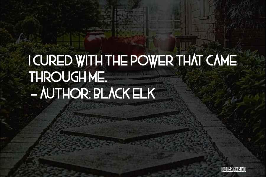 Black Elk Quotes: I Cured With The Power That Came Through Me.