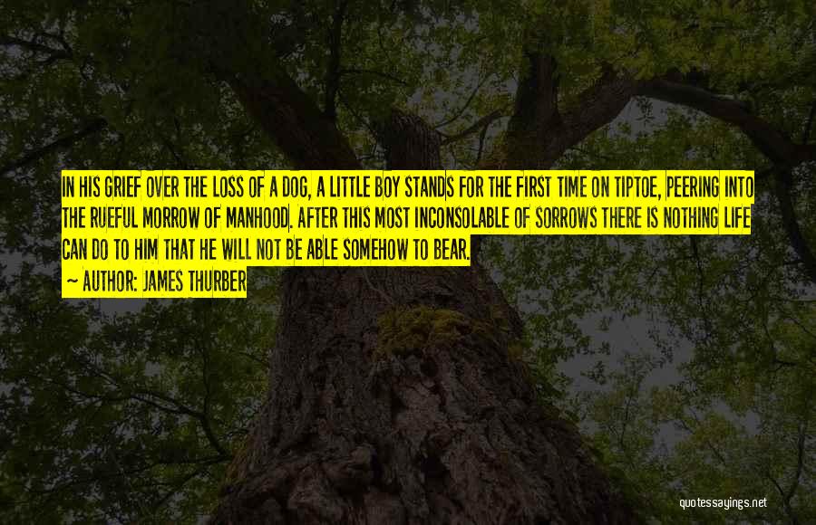 James Thurber Quotes: In His Grief Over The Loss Of A Dog, A Little Boy Stands For The First Time On Tiptoe, Peering