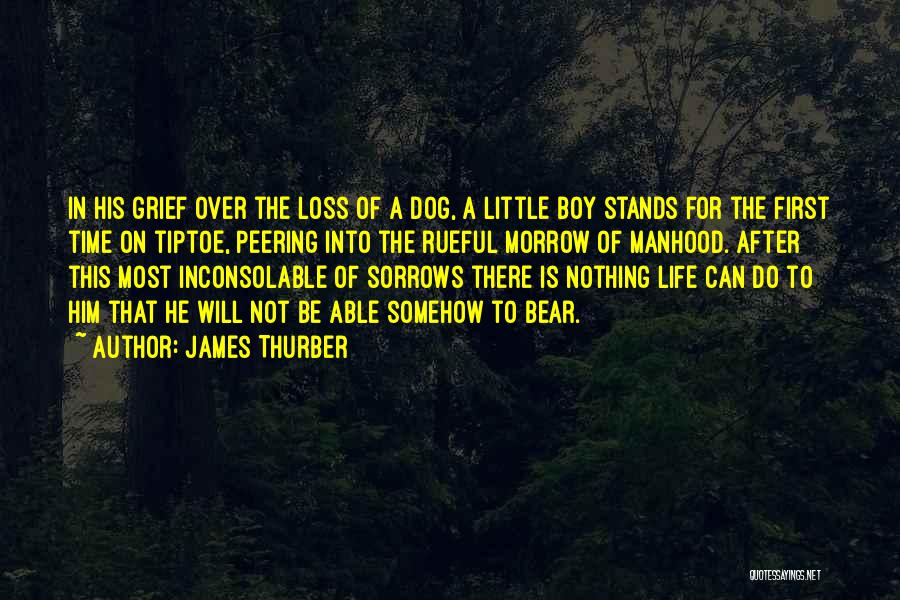 James Thurber Quotes: In His Grief Over The Loss Of A Dog, A Little Boy Stands For The First Time On Tiptoe, Peering