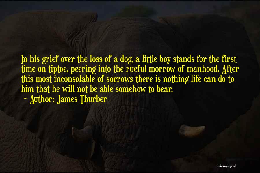 James Thurber Quotes: In His Grief Over The Loss Of A Dog, A Little Boy Stands For The First Time On Tiptoe, Peering