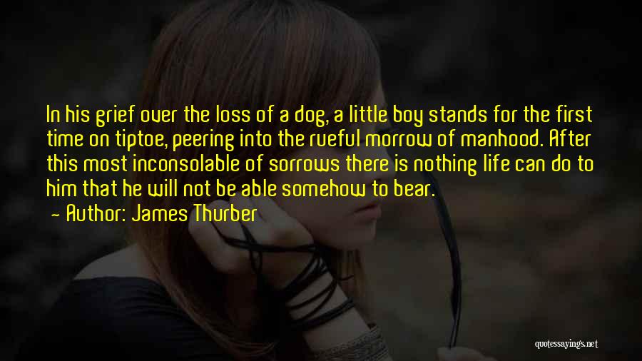 James Thurber Quotes: In His Grief Over The Loss Of A Dog, A Little Boy Stands For The First Time On Tiptoe, Peering