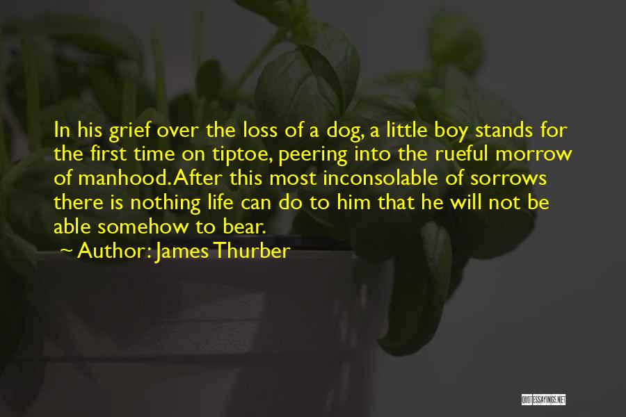 James Thurber Quotes: In His Grief Over The Loss Of A Dog, A Little Boy Stands For The First Time On Tiptoe, Peering