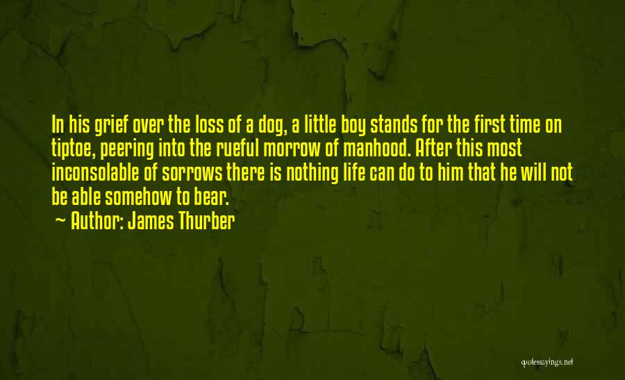 James Thurber Quotes: In His Grief Over The Loss Of A Dog, A Little Boy Stands For The First Time On Tiptoe, Peering