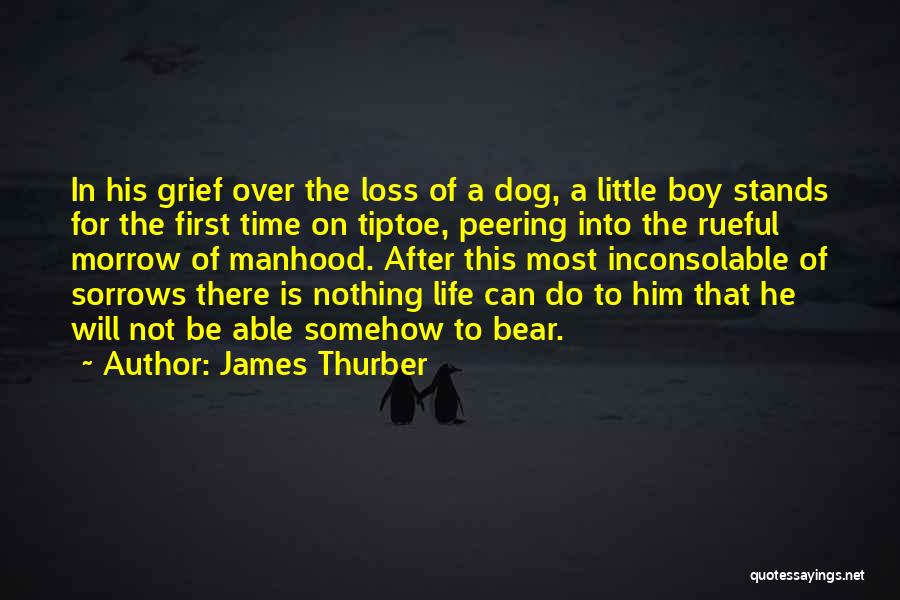 James Thurber Quotes: In His Grief Over The Loss Of A Dog, A Little Boy Stands For The First Time On Tiptoe, Peering