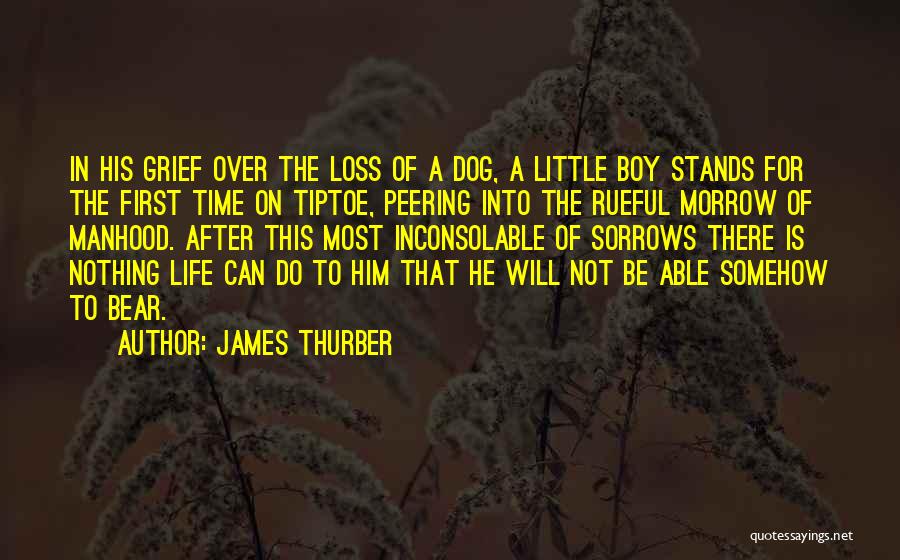 James Thurber Quotes: In His Grief Over The Loss Of A Dog, A Little Boy Stands For The First Time On Tiptoe, Peering