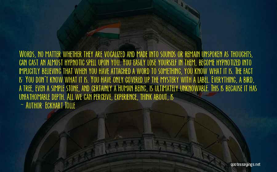 Eckhart Tolle Quotes: Words, No Matter Whether They Are Vocalized And Made Into Sounds Or Remain Unspoken As Thoughts, Can Cast An Almost