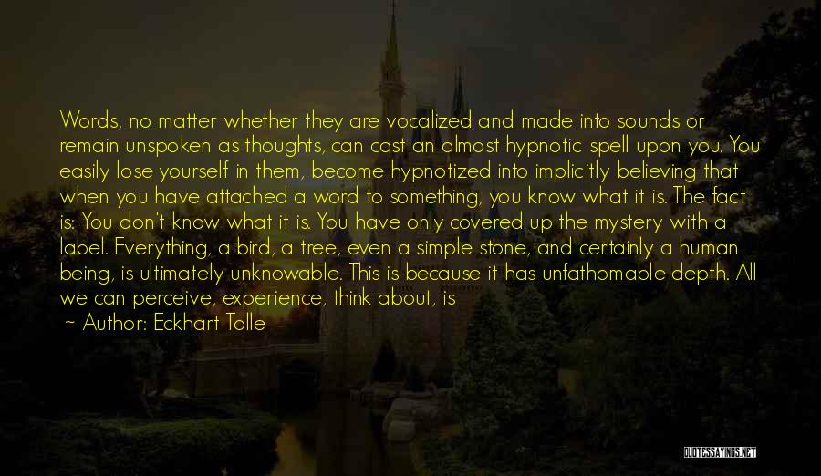 Eckhart Tolle Quotes: Words, No Matter Whether They Are Vocalized And Made Into Sounds Or Remain Unspoken As Thoughts, Can Cast An Almost