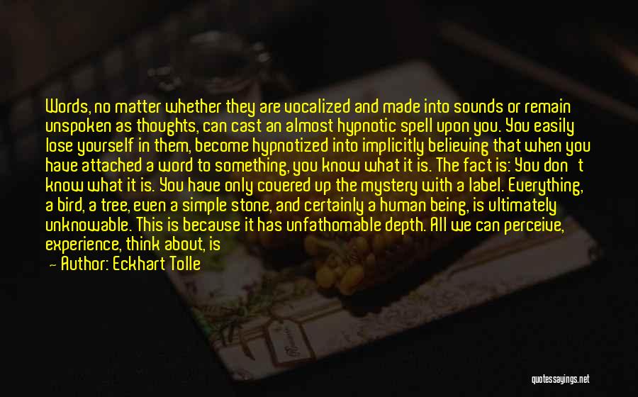 Eckhart Tolle Quotes: Words, No Matter Whether They Are Vocalized And Made Into Sounds Or Remain Unspoken As Thoughts, Can Cast An Almost