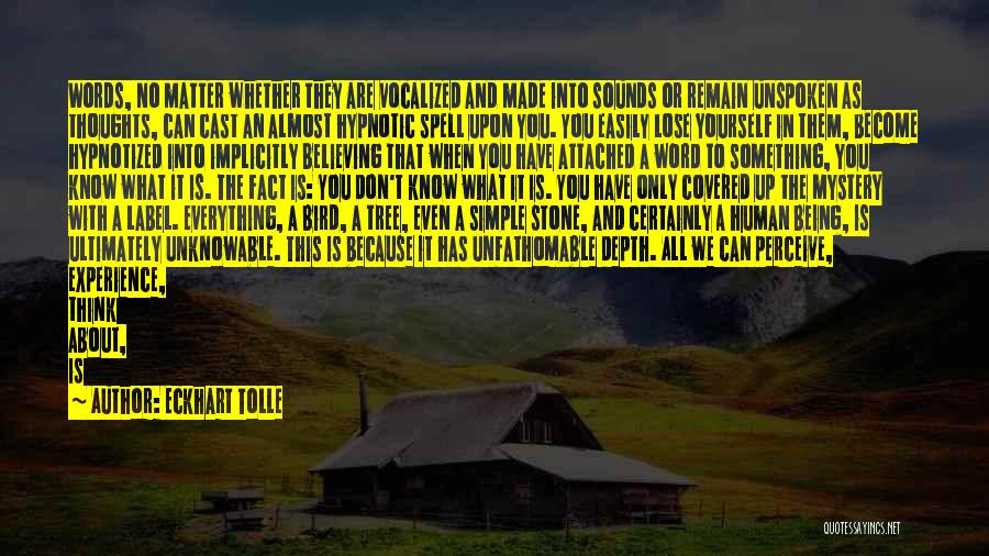 Eckhart Tolle Quotes: Words, No Matter Whether They Are Vocalized And Made Into Sounds Or Remain Unspoken As Thoughts, Can Cast An Almost