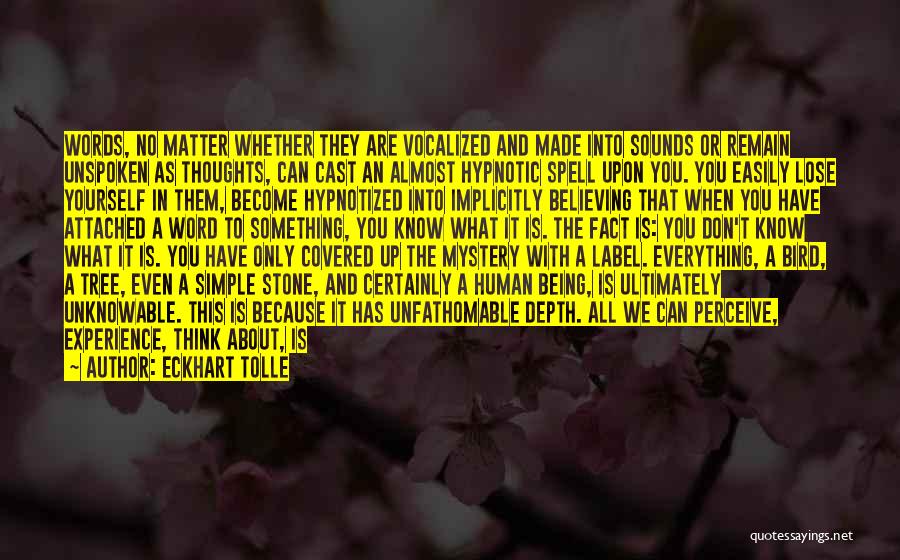 Eckhart Tolle Quotes: Words, No Matter Whether They Are Vocalized And Made Into Sounds Or Remain Unspoken As Thoughts, Can Cast An Almost