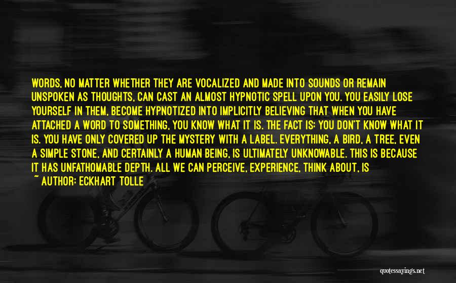 Eckhart Tolle Quotes: Words, No Matter Whether They Are Vocalized And Made Into Sounds Or Remain Unspoken As Thoughts, Can Cast An Almost