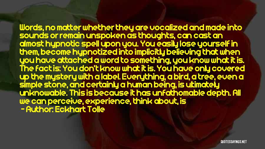 Eckhart Tolle Quotes: Words, No Matter Whether They Are Vocalized And Made Into Sounds Or Remain Unspoken As Thoughts, Can Cast An Almost