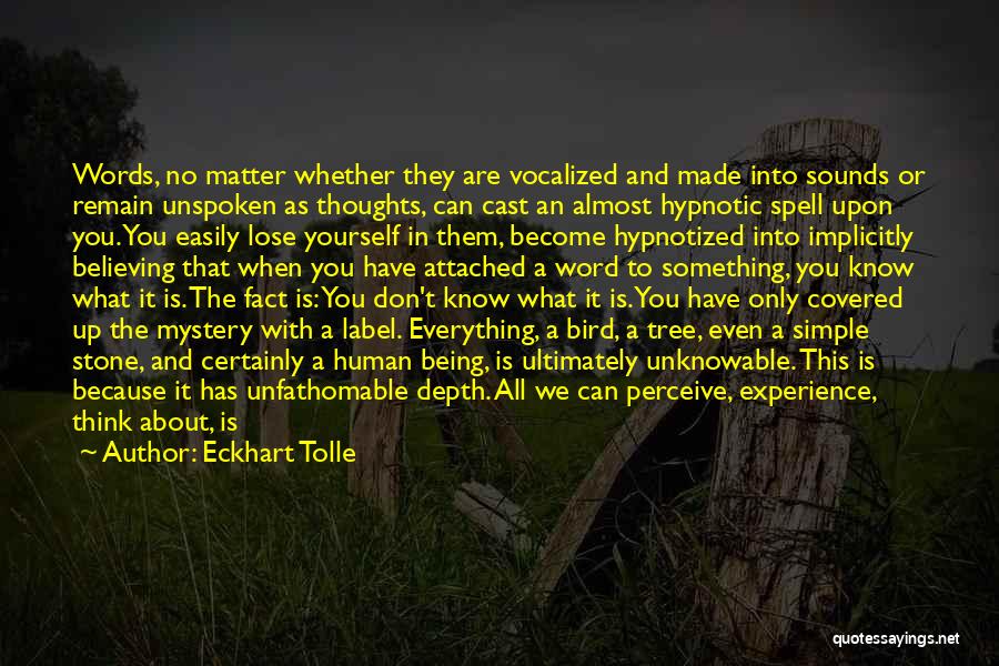 Eckhart Tolle Quotes: Words, No Matter Whether They Are Vocalized And Made Into Sounds Or Remain Unspoken As Thoughts, Can Cast An Almost