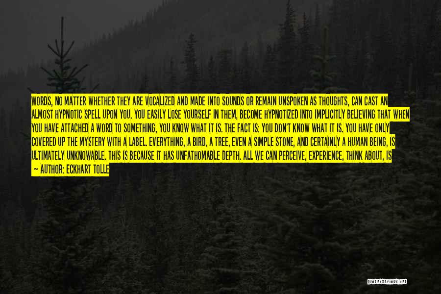 Eckhart Tolle Quotes: Words, No Matter Whether They Are Vocalized And Made Into Sounds Or Remain Unspoken As Thoughts, Can Cast An Almost