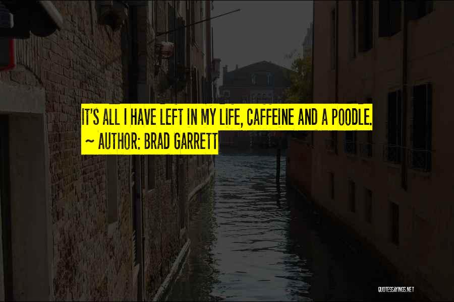 Brad Garrett Quotes: It's All I Have Left In My Life, Caffeine And A Poodle.